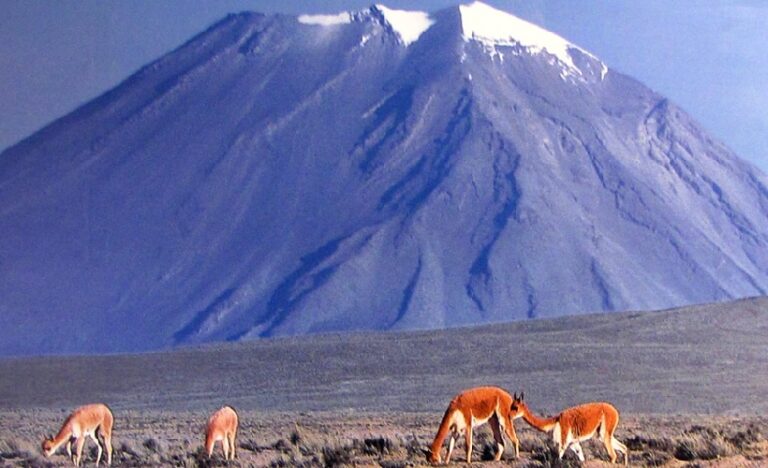 Tour Colca desde Puno 2Días